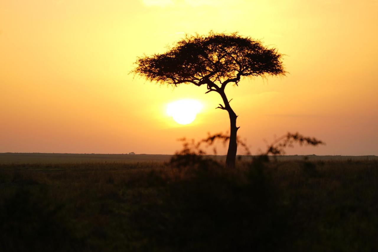 Anantya Serengeti Bagian luar foto