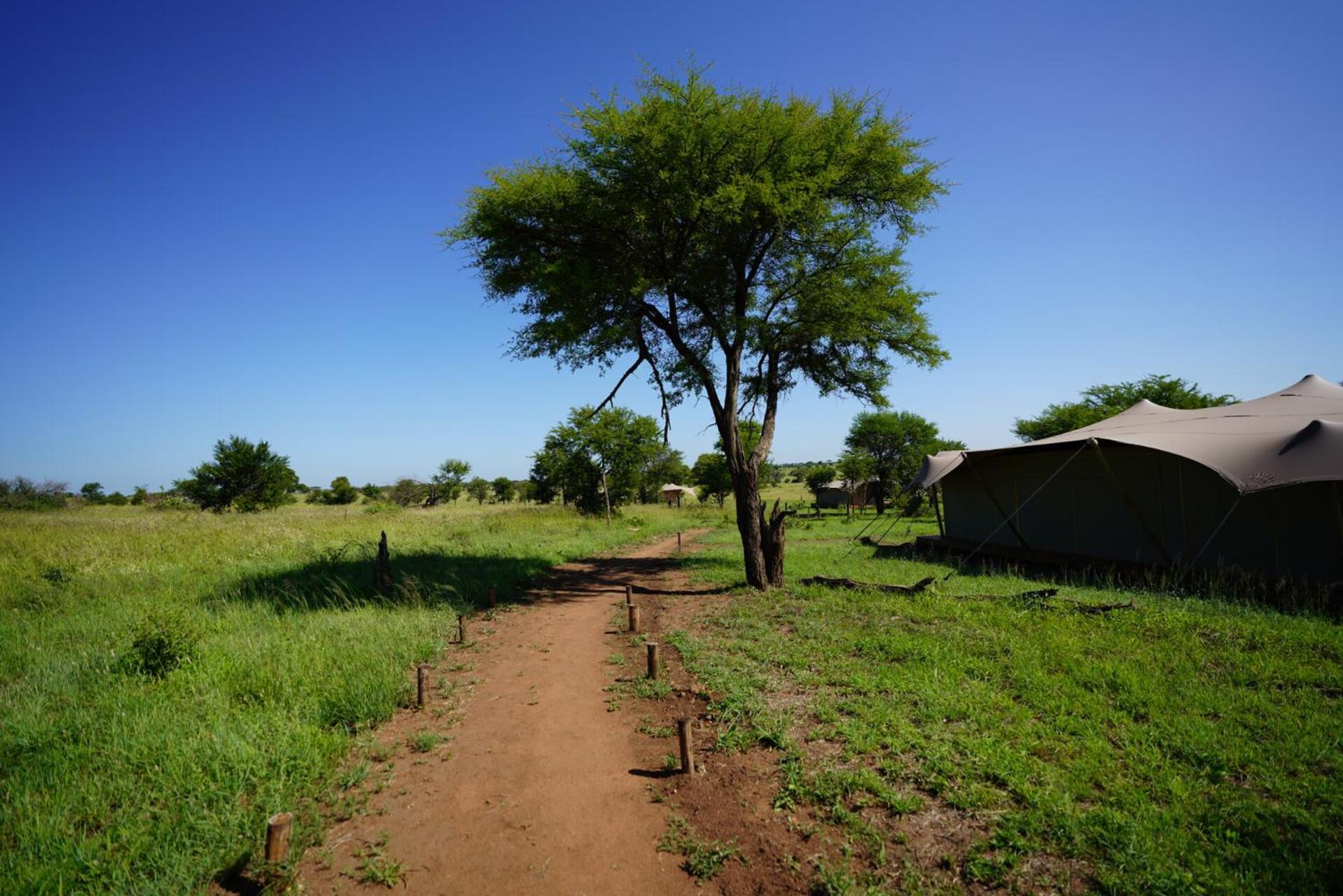 Anantya Serengeti Bagian luar foto