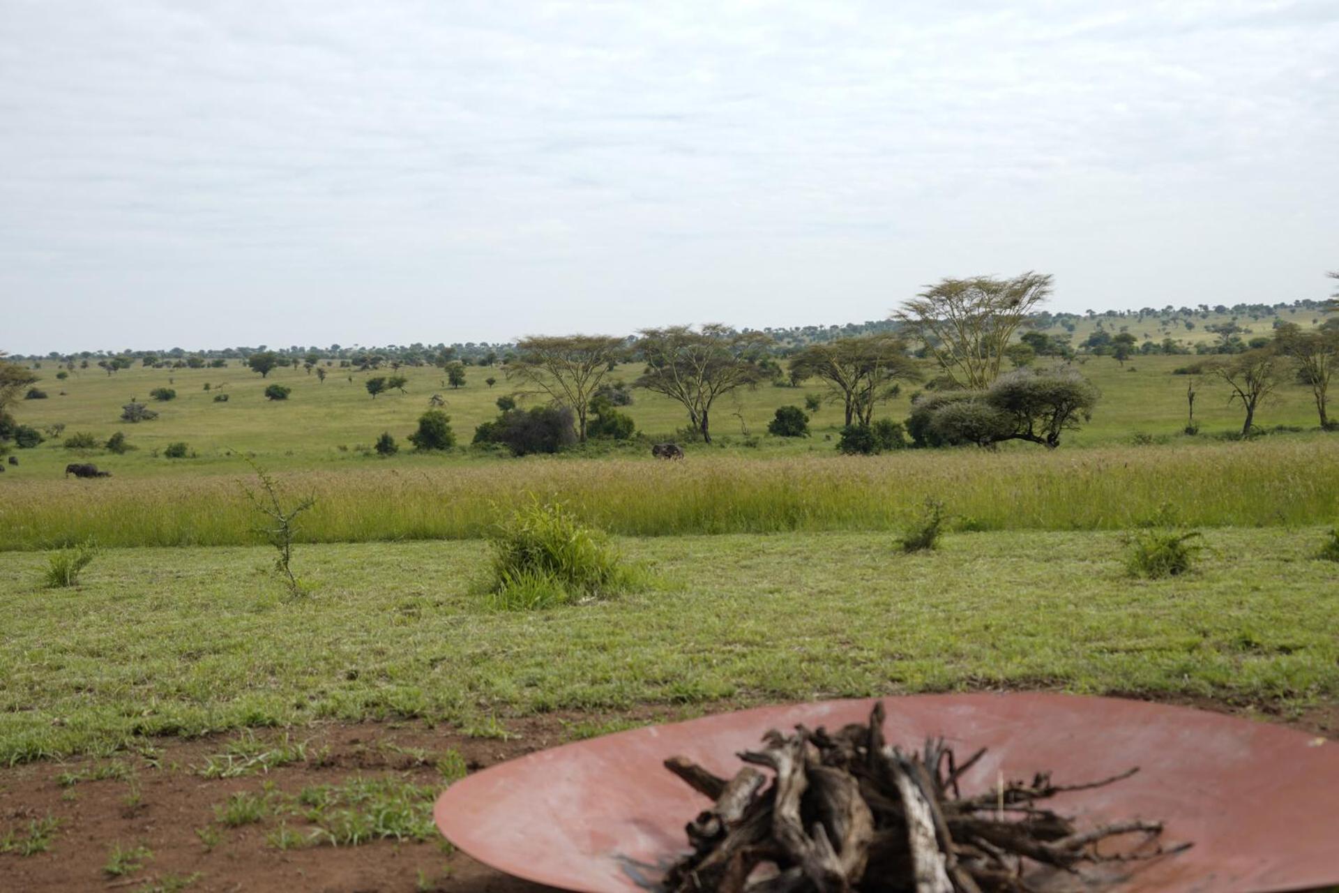 Anantya Serengeti Bagian luar foto