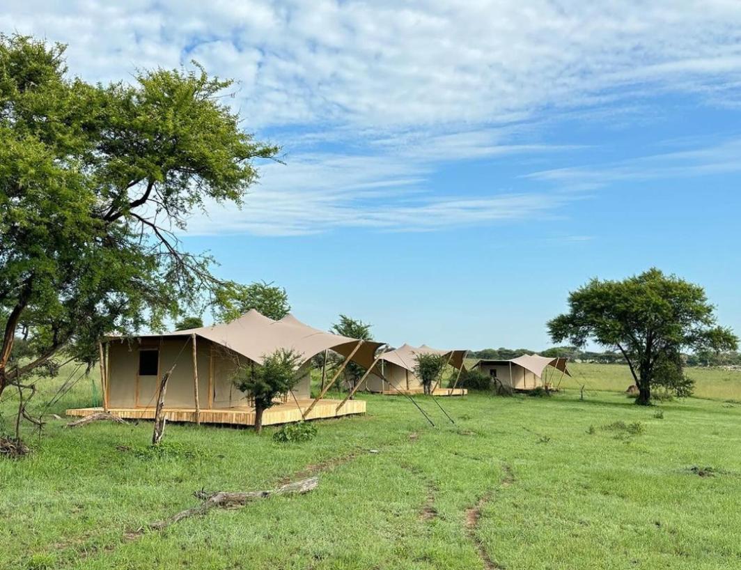 Anantya Serengeti Bagian luar foto